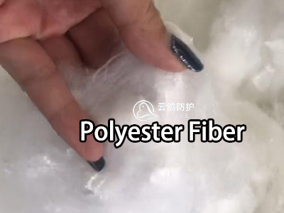 Polyester-fiber-2507211