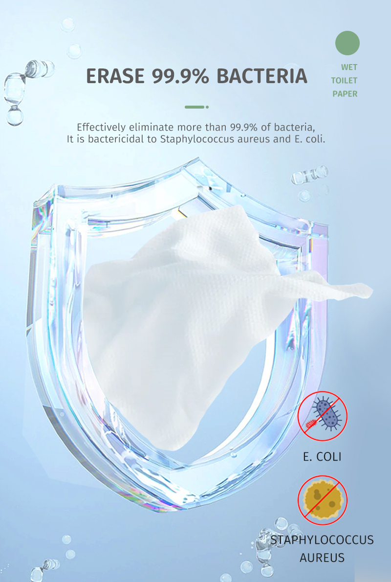 Flushable wet  wipes details 202603031 (5)