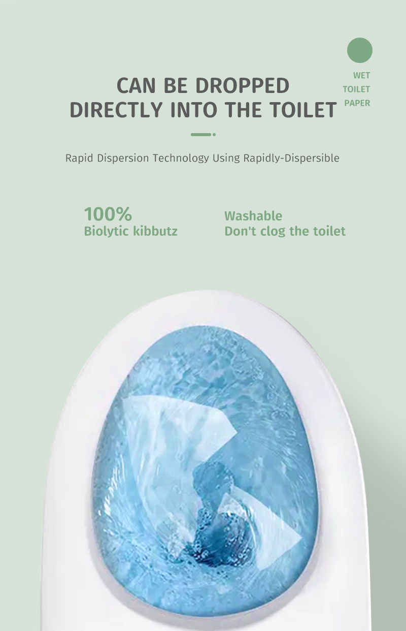 Flushable wet  wipes details 202603031 (6)